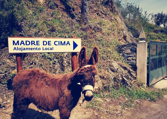 Alojamento Local Madre De Cima