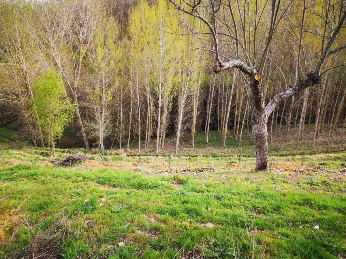 Local Madre De Cima Country house *