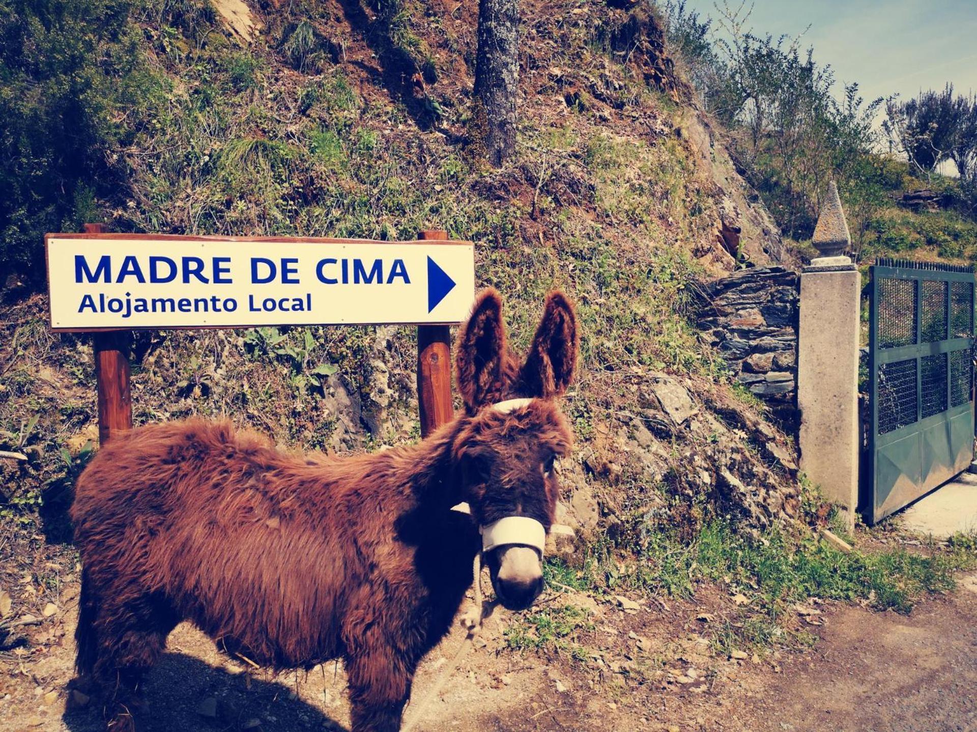 Local Madre De Cima Country house Vinhais