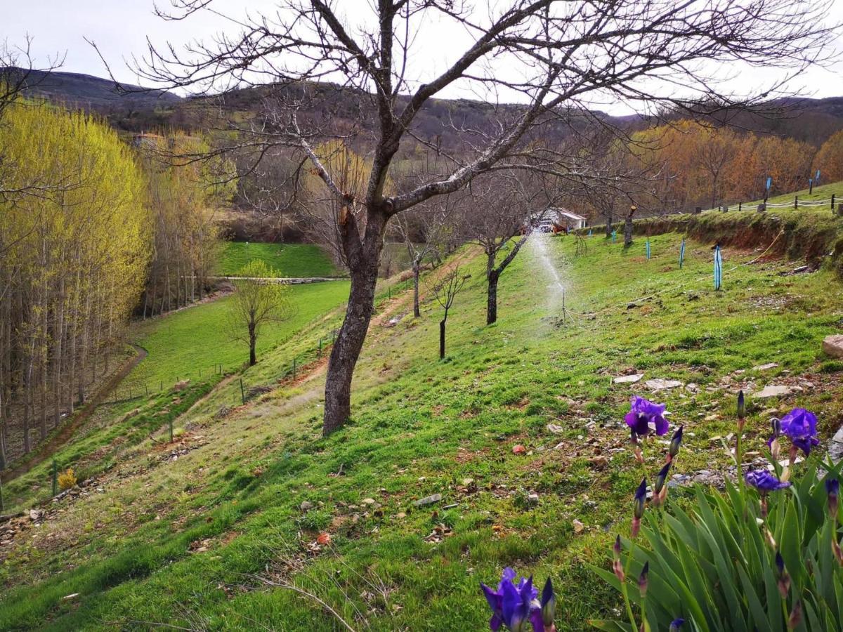 Country house Local Madre De Cima *