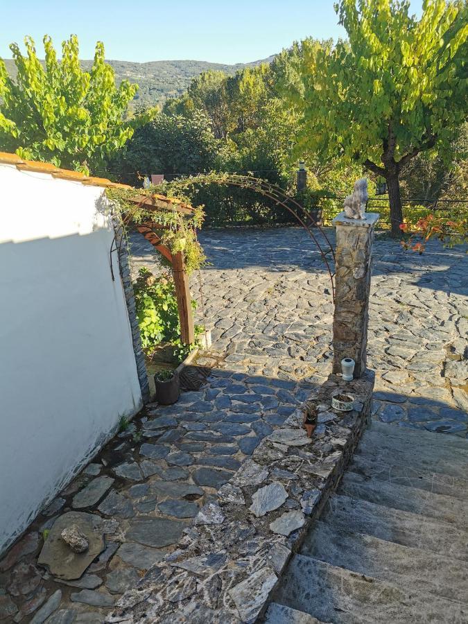 Local Madre De Cima Country house