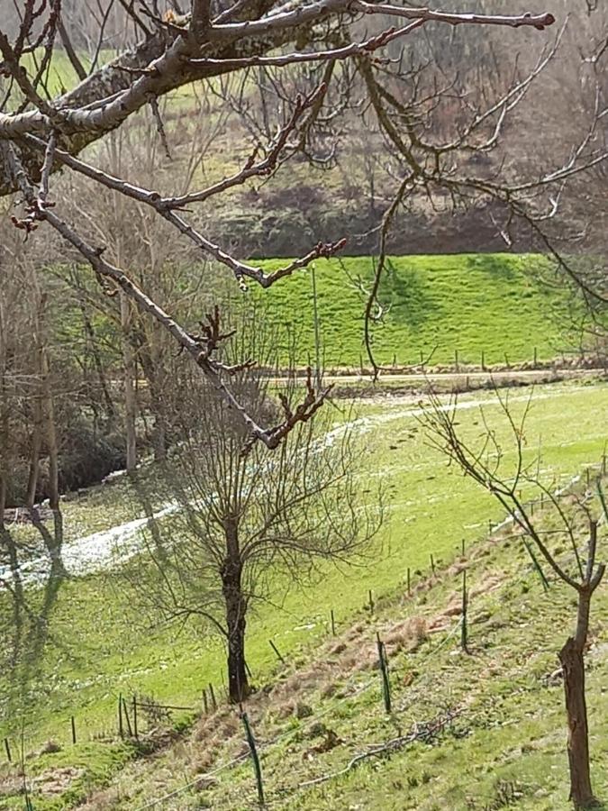 Local Madre De Cima Country house