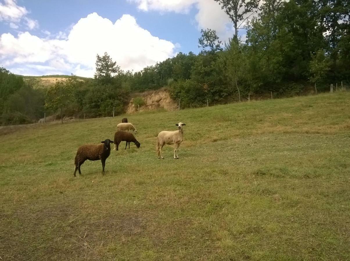 Country house Local Madre De Cima *